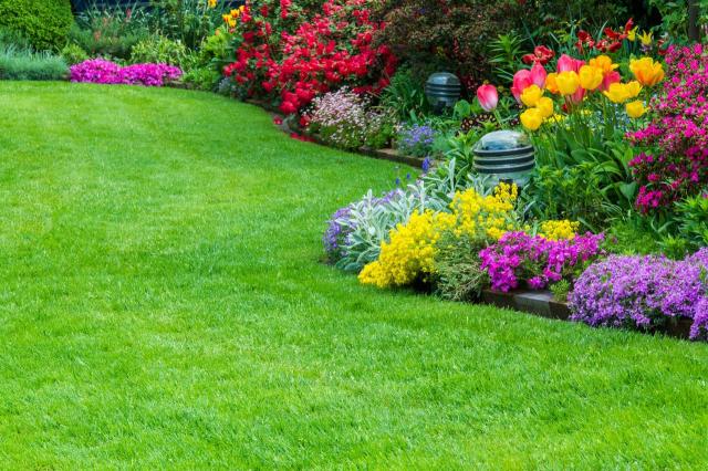 urządzanie ogrodu, duży ogród, aranżacja dużego ogrodu, jak urządzić ogród, projekt ogrodu, kwiaty w ogrodzie 