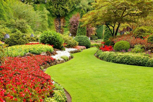 ogród w stylu angielskim, aranżacje ogrodów, ogród swobodny, ogród romantyczny, rośliny w ogrodzie, jak urządzić ogród 