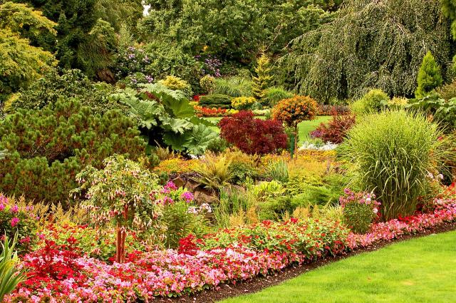 ogród swobodny, ogród romantyczny, rośliny w ogrodzie, jak urządzić ogród, ogród w stylu angielskim, aranżacje ogrodów 