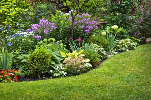 rośliny w ogrodzie, jak urządzić ogród, ogród w stylu angielskim, aranżacje ogrodów, ogród swobodny, ogród romantyczny 