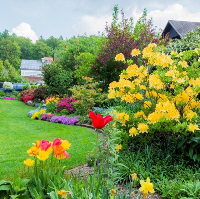 ogród, krzewy długo kwitnące, ogród dekoracyjny cały rok, rośliny do ogrodu, kompozycje roślinne, iglaki 