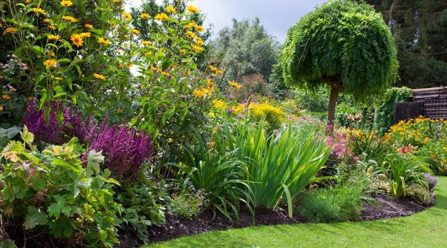 rośliny w ogrodzie, rośliny do ogrodu, ogród, ogrodowe inspiracje, kolorowe roślin, kompozycje roślin 