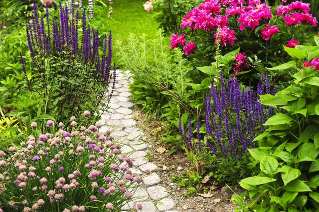 ogrodowe inspiracje, kolorowe roślin, kompozycje roślin, rośliny w ogrodzie, rośliny do ogrodu, ogród 