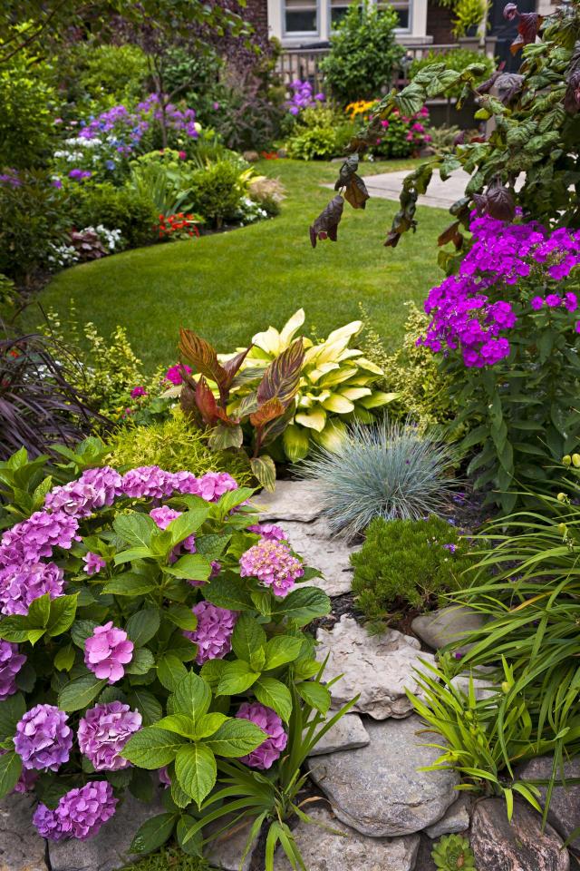 rośliny do ogrodu, ogród, ogrodowe inspiracje, kolorowe roślin, kompozycje roślin, rośliny w ogrodzie 