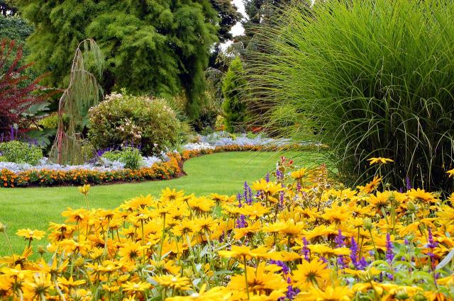ogród w stylu rustykalnym, ogród rustykalny, ogród przydomowy, ogród wiejski, kompozycje roślinne 