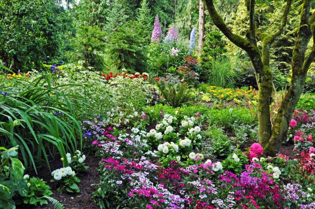 kompozycje roślinne, ogród w stylu rustykalnym, ogród rustykalny, ogród przydomowy, ogród wiejski 