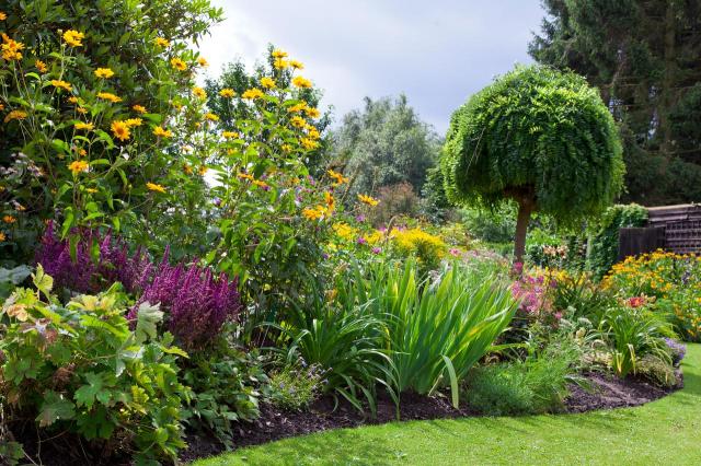 jak urządzić ogród, projekt ogrodu, aranżacja ogrodu, kompozycje roślinne, ścieżki w ogrodzie, ogród, inspiracje 
