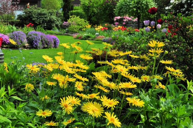 ogród, rośliny, rabata kwiatowa, pomysły na rabatę, kompozycje kwiatowe, kompozycje ogrodowe, kompozycje w donicach 