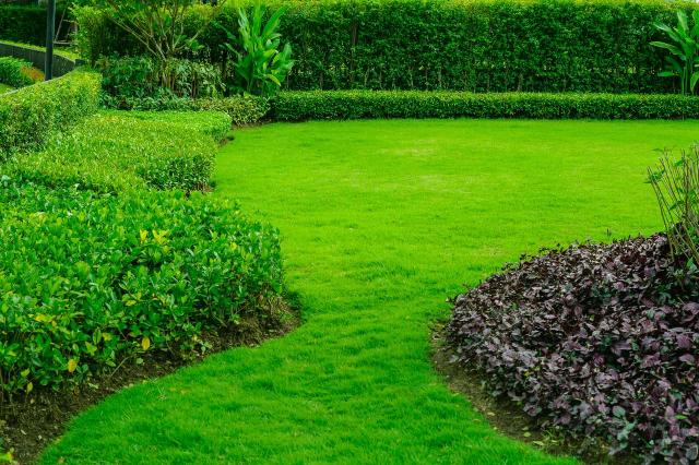 ogrody, styl swobodny, rabaty ogrodowe, ogród elegancki, kompozycje roślinne 