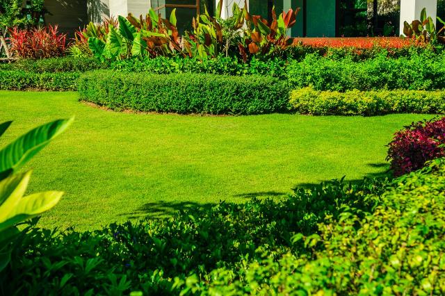 styl swobodny, rabaty ogrodowe, ogród elegancki, kompozycje roślinne, ogrody 