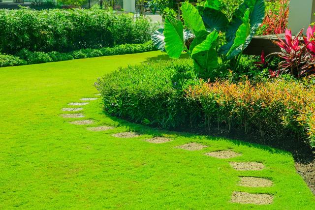 ogród elegancki, kompozycje roślinne, ogrody, styl swobodny, rabaty ogrodowe 