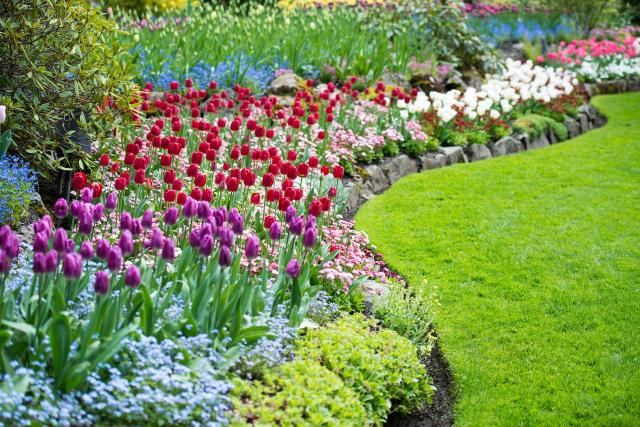 kompozycje roślinne, ogrody, styl swobodny, rabaty ogrodowe, ogród elegancki 