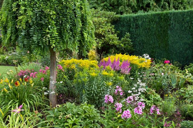 ogródek przydomowy, ogród, aranżacja ogrodu, projekt ogrodu, kompozycje roślinne, ogród kwiatowy 