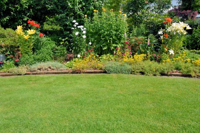 projekt ogrodu, kwiaty w ogrodzie, urządzanie ogrodu, duży ogród, aranżacja dużego ogrodu, jak urządzić ogród 
