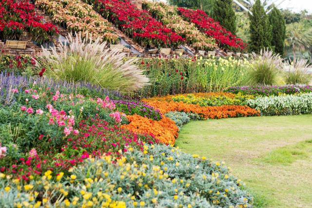 aranżacje ogrodów, ogród swobodny, ogród romantyczny, rośliny w ogrodzie, jak urządzić ogród, ogród w stylu angielskim 
