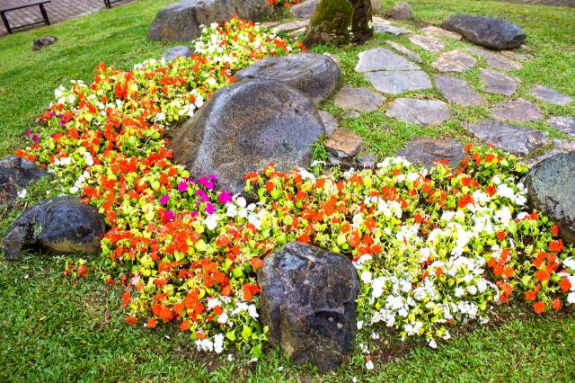 rabaty kwiatowe na trawniku, rabaty inspiracje, nasadzenia roślin, kwiaty w ogrodzie, ogród, rabaty kwiatowe 