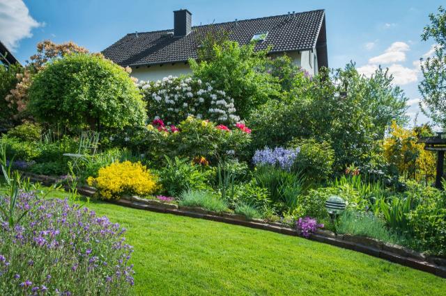 iglaki, ogród, krzewy długo kwitnące, ogród dekoracyjny cały rok, rośliny do ogrodu, kompozycje roślinne 