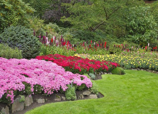 kolorowe roślin, kompozycje roślinne, rośliny w ogrodzie, rośliny do ogrodu, ogród, ogrodowe inspiracje, duże ogrody 