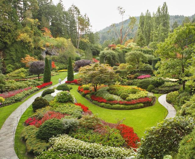 rośliny do ogrodu, ogród, ogrodowe inspiracje, duże ogrody, kolorowe roślin, kompozycje roślinne, rośliny w ogrodzie 