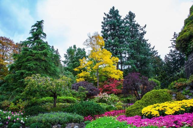 ogród, ogrodowe inspiracje, duże ogrody, kolorowe roślin, kompozycje roślinne, rośliny w ogrodzie, rośliny do ogrodu 
