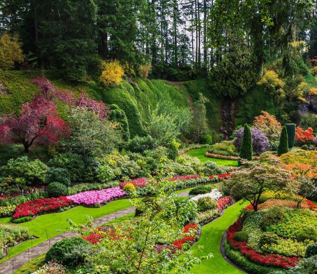 duże ogrody, kolorowe roślin, kompozycje roślinne, rośliny w ogrodzie, rośliny do ogrodu, ogród, ogrodowe inspiracje 