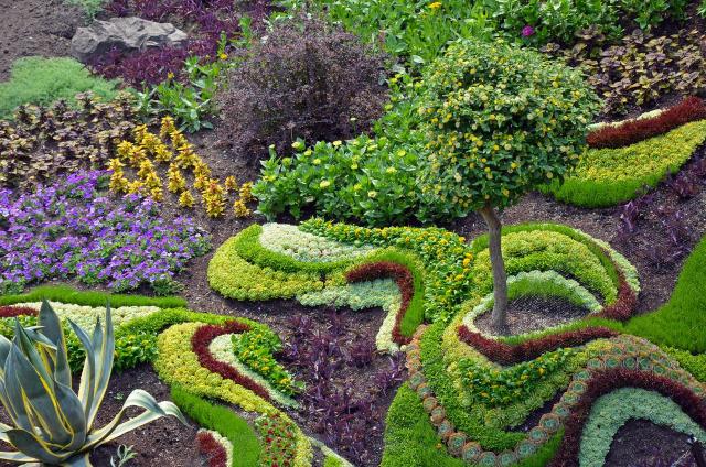 kompozycje roślinne, rośliny w ogrodzie, rośliny do ogrodu, ogród, ogrodowe inspiracje, duże ogrody, kolorowe roślin 