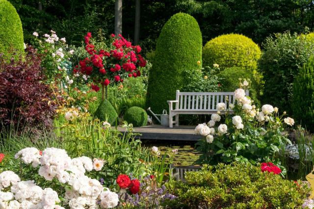 projekt ogrodu, kompozycje roślinne, ogród, ogród jak z bajki, aranżacja ogrodu 