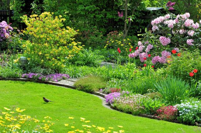 rabaty ogrodowe, ogród, ogród angielski, kompozycje roślinne, kwiaty w ogrodzie, kompozycje do ogrodu 