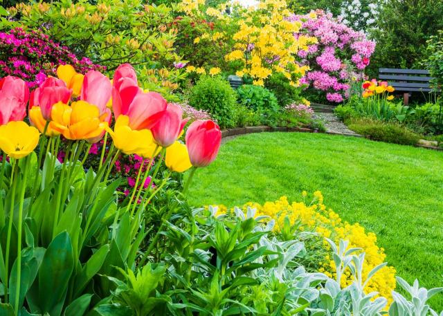 ogród, ogród angielski, kompozycje roślinne, kwiaty w ogrodzie, kompozycje do ogrodu, rabaty ogrodowe 