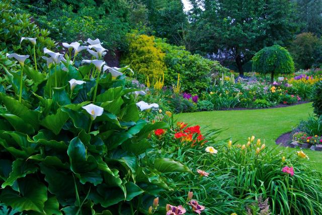 ogród, inspiracje, jak urządzić ogród, projekt ogrodu, aranżacja ogrodu, kompozycje roślinne, ścieżki w ogrodzie 
