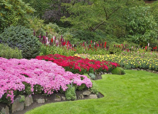 rośliny do ogrodu, kwiaty do ogrodu, kwiaty ogrodowe, ogród całoroczny 